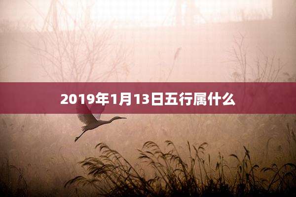 2019年1月13日五行属什么