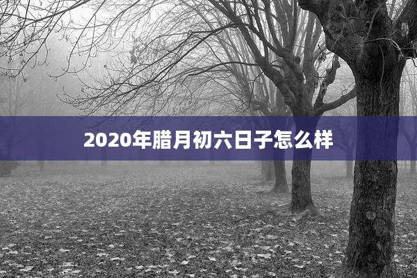 2020年腊月初六日子怎么样