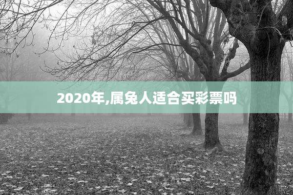 2020年,属兔人适合买彩票吗