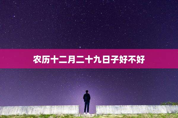 农历十二月二十九日子好不好