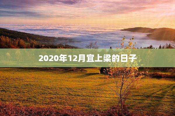 2020年12月宜上梁的日子