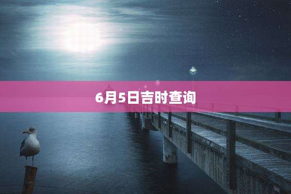 6月5日吉时查询