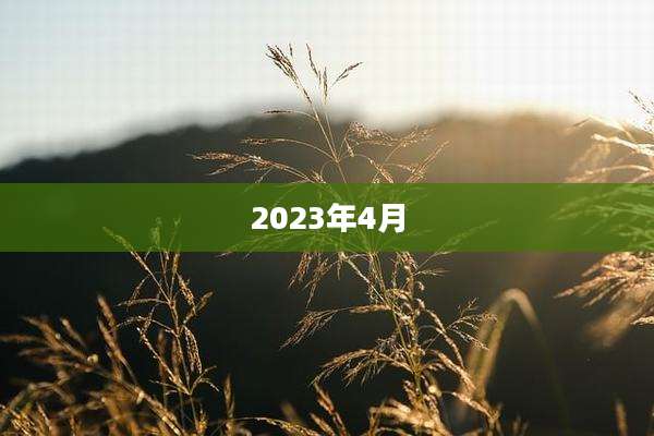 2023年4月