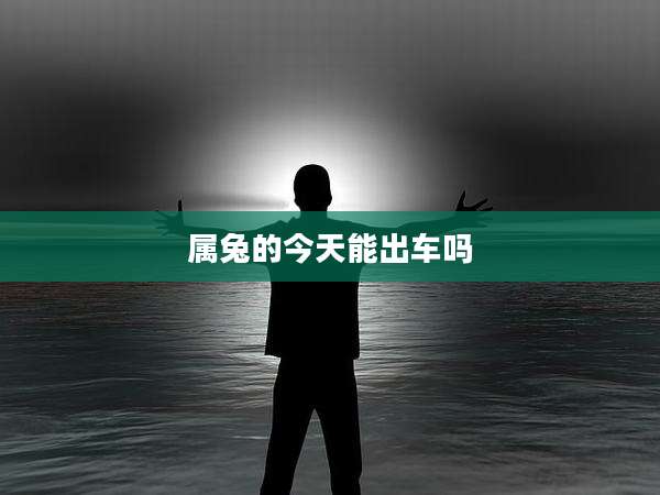 属兔的今天能出车吗