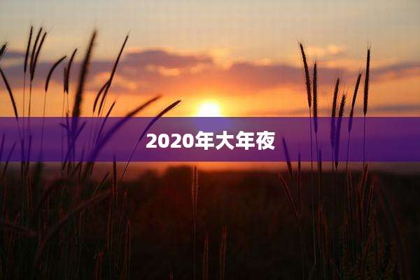 2020年大年夜