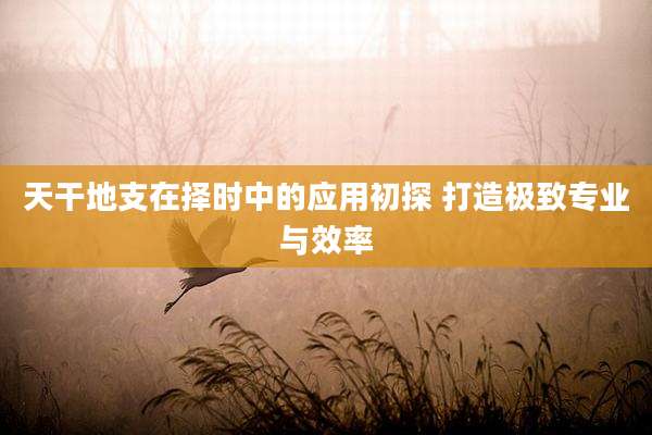 天干地支在择时中的应用初探 打造极致专业与效率