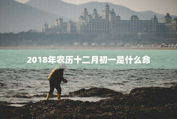2018年农历十二月初一是什么命