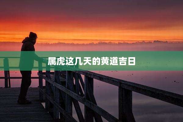 属虎这几天的黄道吉日