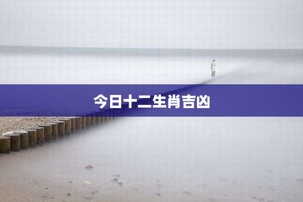 今日十二生肖吉凶