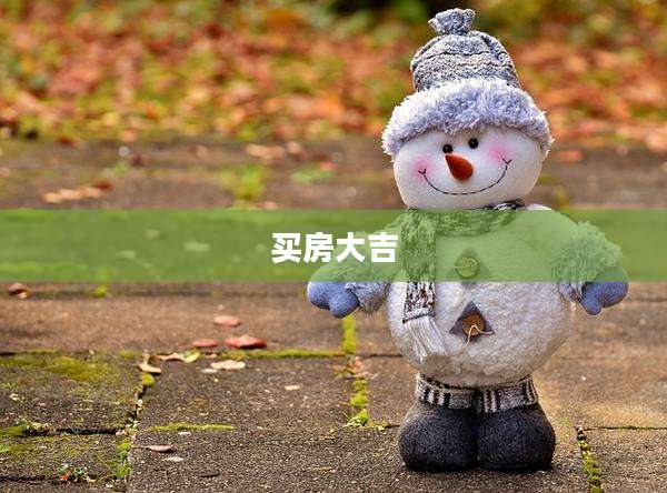 买房大吉