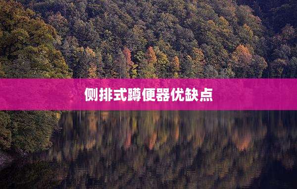 侧排式蹲便器优缺点