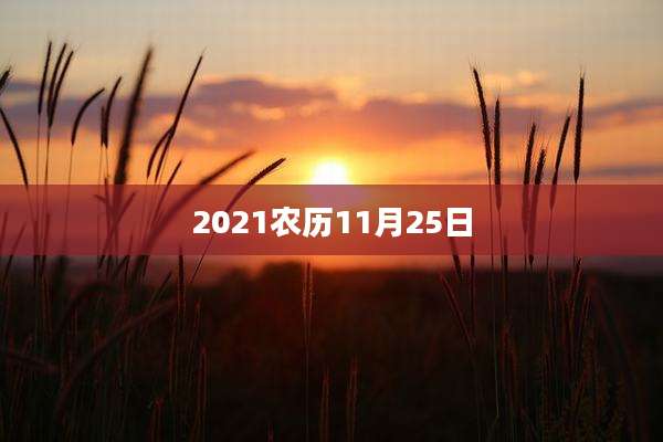 2021农历11月25日