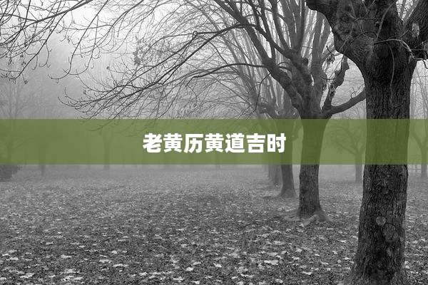 老黄历黄道吉时