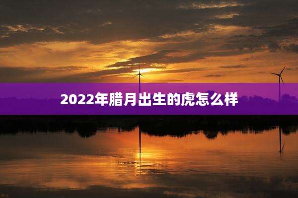 2022年腊月出生的虎怎么样