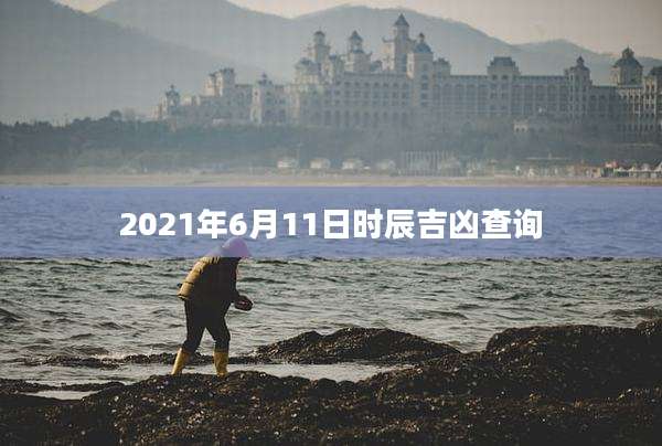 2021年6月11日时辰吉凶查询