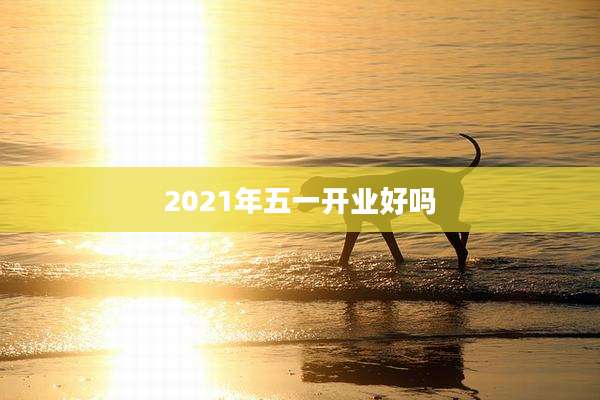 2021年五一开业好吗
