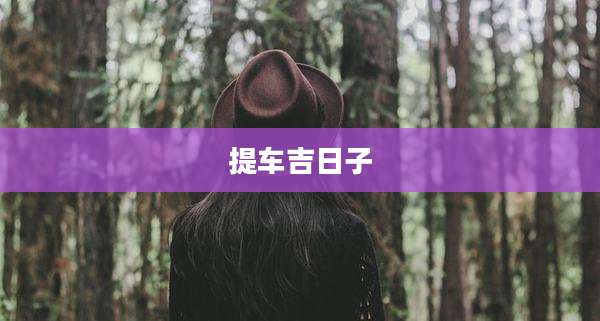 提车吉日子