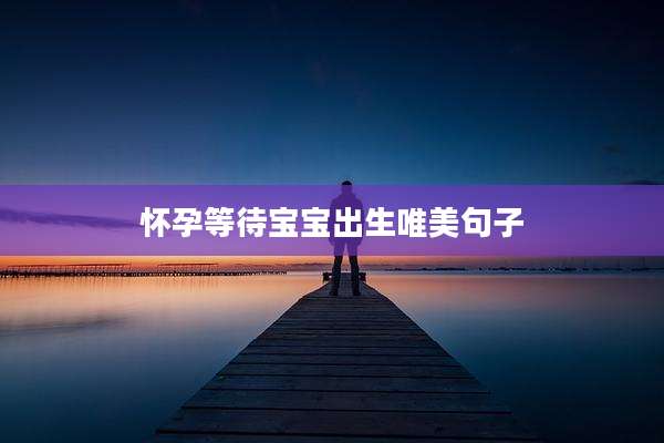 怀孕等待宝宝出生唯美句子