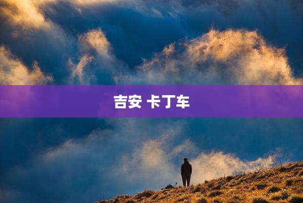 吉安 卡丁车