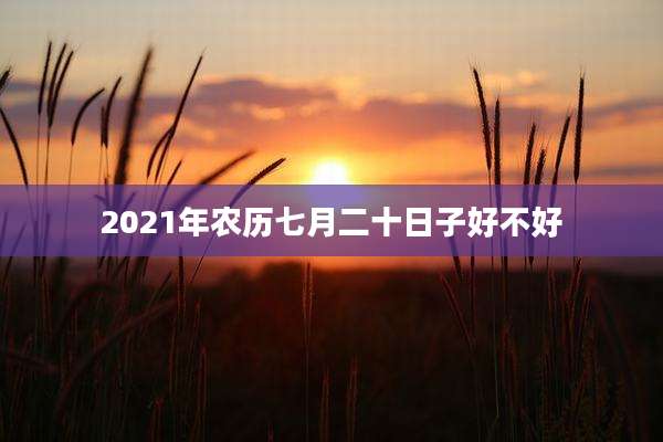 2021年农历七月二十日子好不好