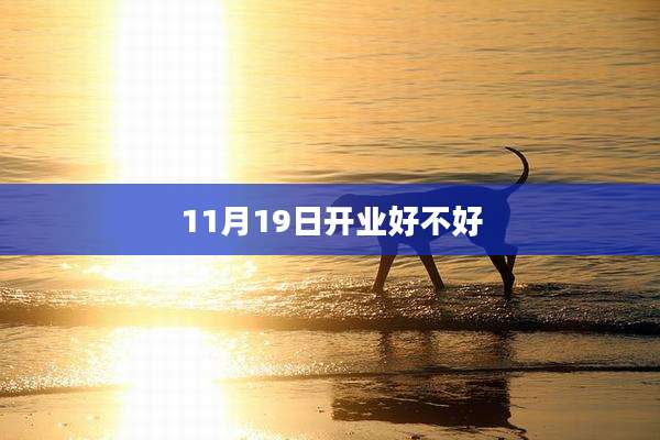 11月19日开业好不好