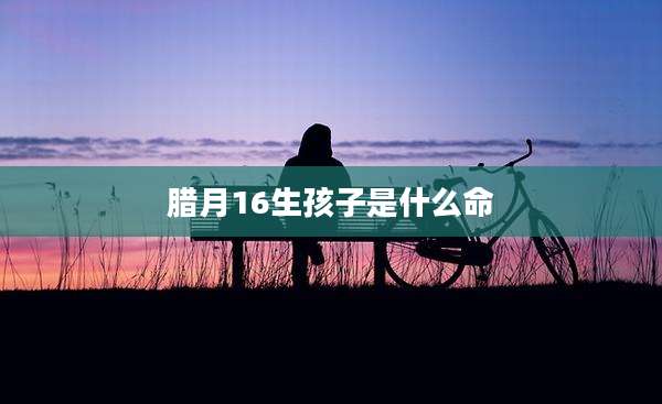 腊月16生孩子是什么命