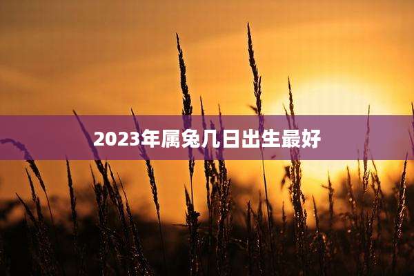 2023年属兔几日出生最好