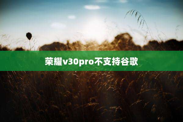 荣耀v30pro不支持谷歌