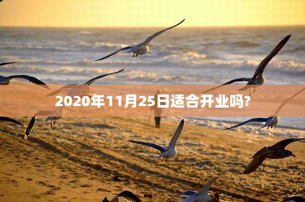 2020年11月25日适合开业吗?