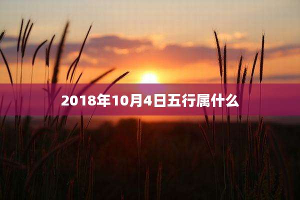 2018年10月4日五行属什么