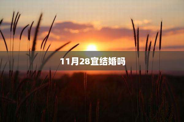 11月28宜结婚吗
