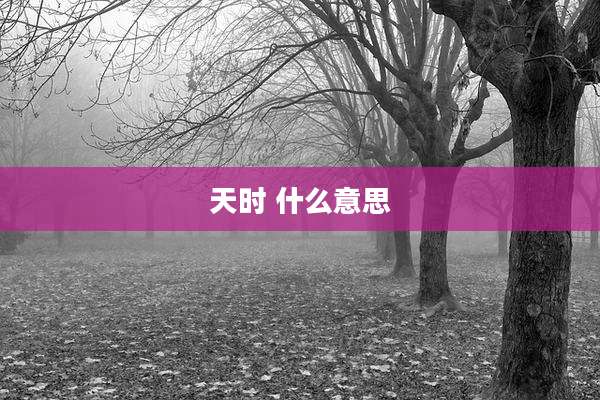 天时 什么意思