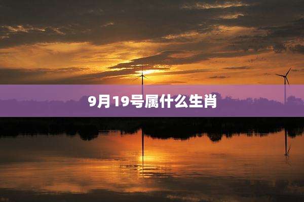 9月19号属什么生肖