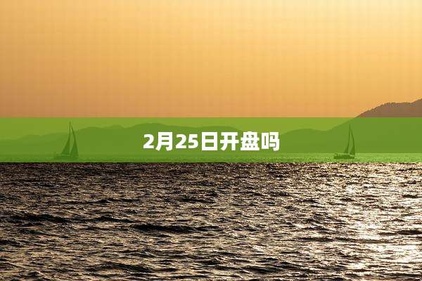 2月25日开盘吗