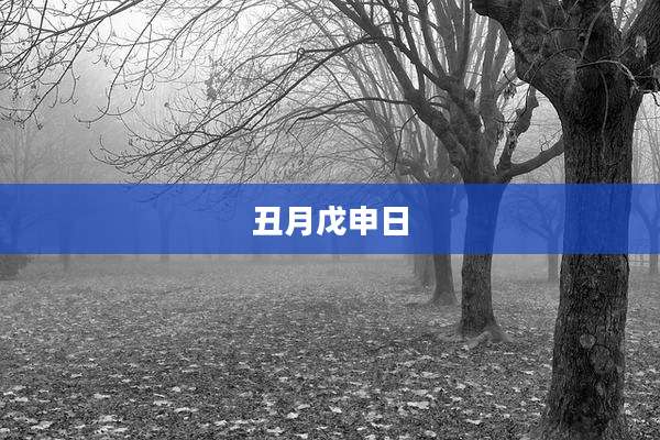 丑月戊申日
