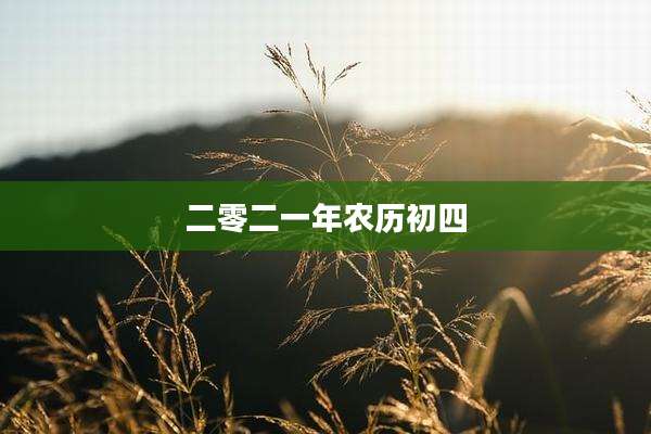 二零二一年农历初四