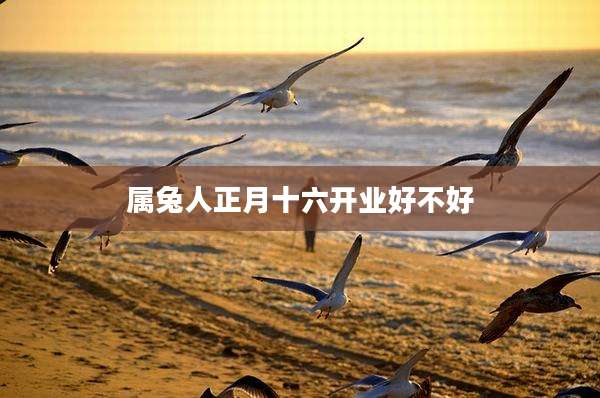 属兔人正月十六开业好不好