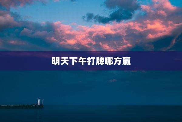 明天下午打牌哪方赢