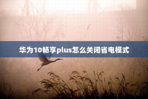 华为10畅享plus怎么关闭省电模式