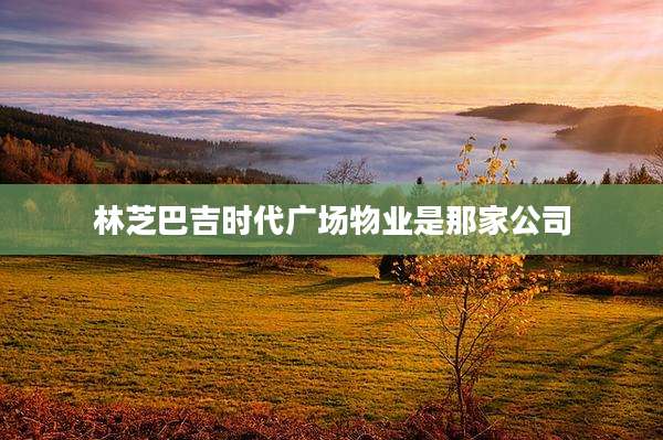 林芝巴吉时代广场物业是那家公司
