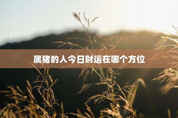 属猪的人今日财运在哪个方位