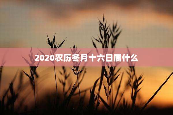 2020农历冬月十六日属什么