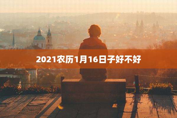 2021农历1月16日子好不好