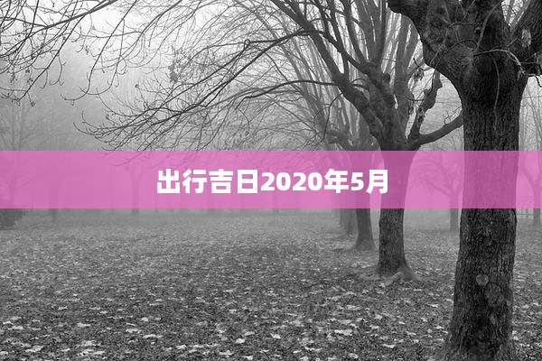 出行吉日2020年5月