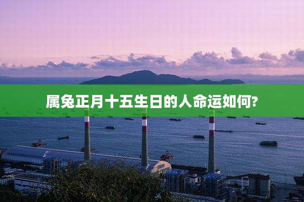 属兔正月十五生日的人命运如何?