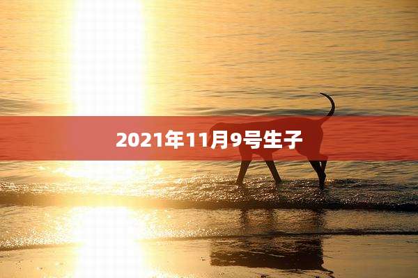 2021年11月9号生子