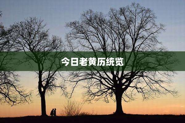 今日老黄历统览