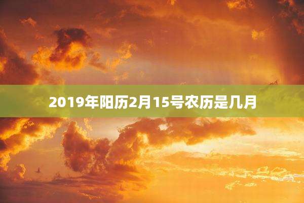 2019年阳历2月15号农历是几月