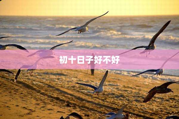 初十日子好不好