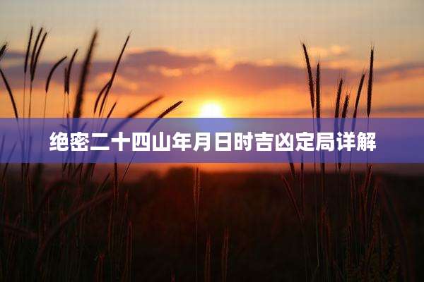 绝密二十四山年月日时吉凶定局详解